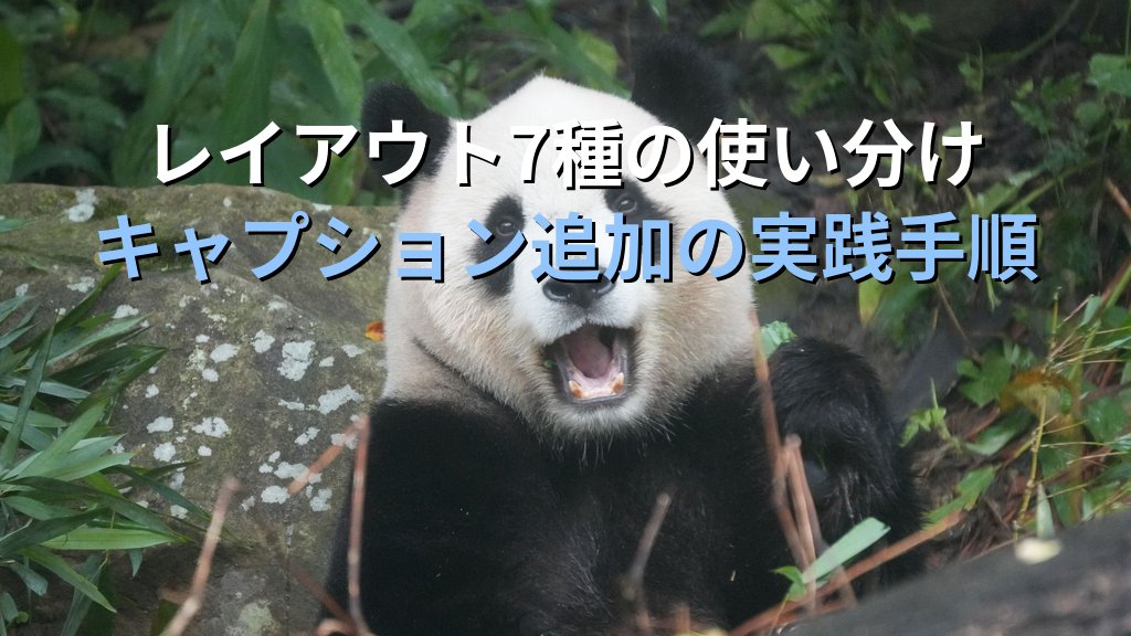 フォトアルバム機能でPowerPointの写真スライドを自動生成する｜レイアウト設定・キャプション追加・編集手順とMOS試験対策 - 解説